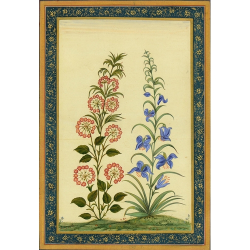 859 - Indian School - Botanical Subjects, a pair, ink and watercolour in blue and pink and gold border, 36... 