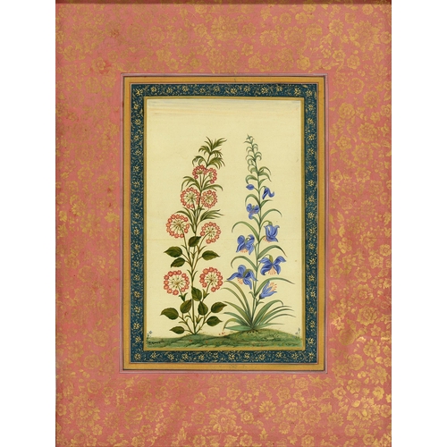 859 - Indian School - Botanical Subjects, a pair, ink and watercolour in blue and pink and gold border, 36... 