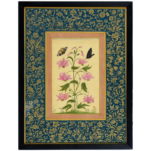 860 - Indian School - Botanical Subjects, one with butterlfies, a pair, ink and wash with gold in blue and... 