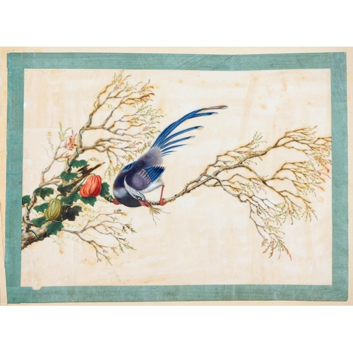 866 - Thirteen Chinese rice paper paintings, first half 19th c, subjects comprising figures (6), birds (4)... 