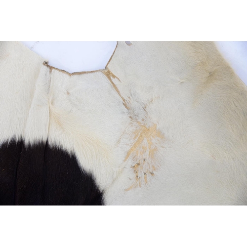 933 - A vintage cow hide rug, 210 x 170cm