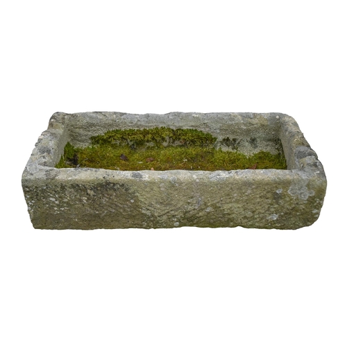 1020 - A Victorian dressed stone trough, 25cm h; 49 x 105cm