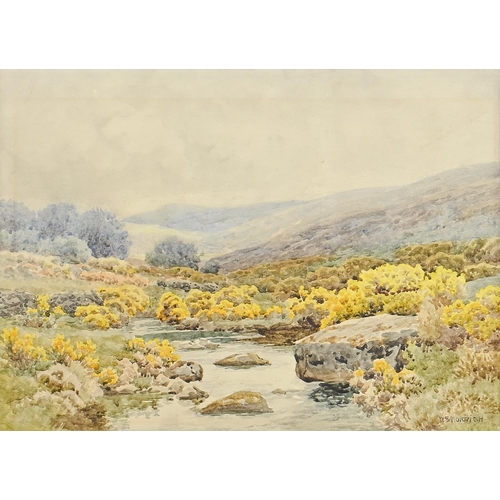 768 - William Sidney Morrish (1844-1917) - Gorse Bushes by a Moorland Stream, signed, watercolour, 25.5 x ... 