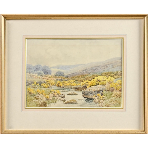 768 - William Sidney Morrish (1844-1917) - Gorse Bushes by a Moorland Stream, signed, watercolour, 25.5 x ... 