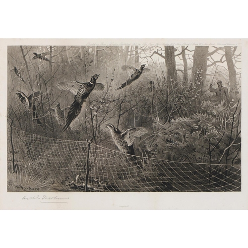 776 - Archibald Thorburn (1860-1935) - Pheasants; Partridge, a set of three, Goupiltints, published by The... 