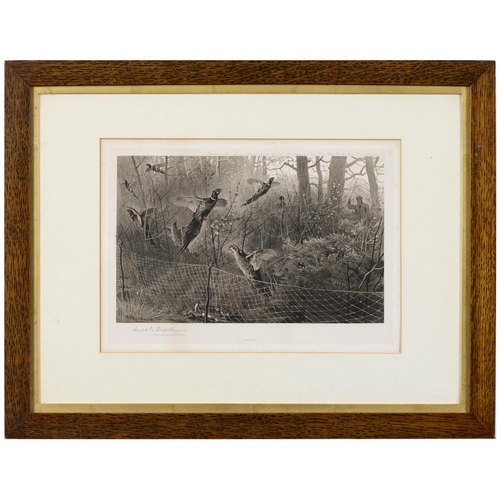 776 - Archibald Thorburn (1860-1935) - Pheasants; Partridge, a set of three, Goupiltints, published by The... 