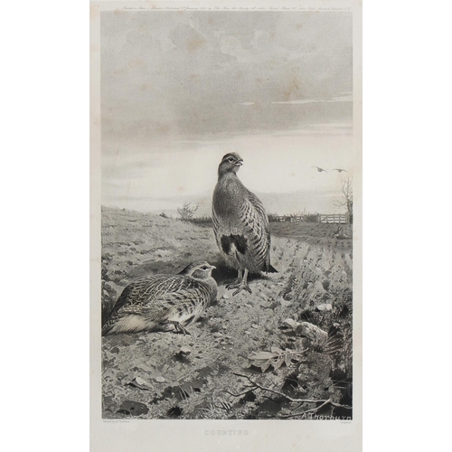 776 - Archibald Thorburn (1860-1935) - Pheasants; Partridge, a set of three, Goupiltints, published by The... 