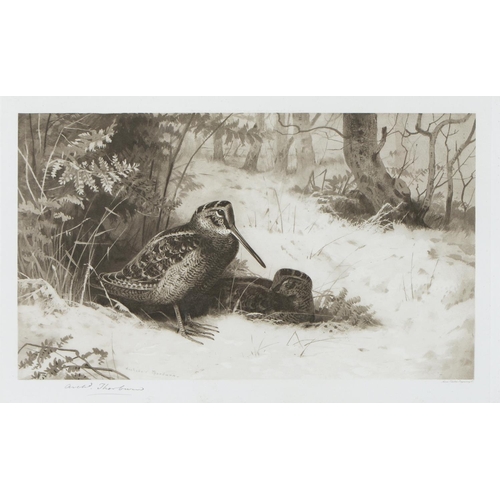 803 - Archibald Thorburn (1860-1935) - Game Birds and Wild Fowl,  photogravures, a set of five, by th... 