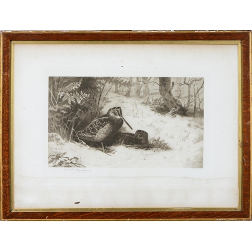 803 - Archibald Thorburn (1860-1935) - Game Birds and Wild Fowl,  photogravures, a set of five, by th... 