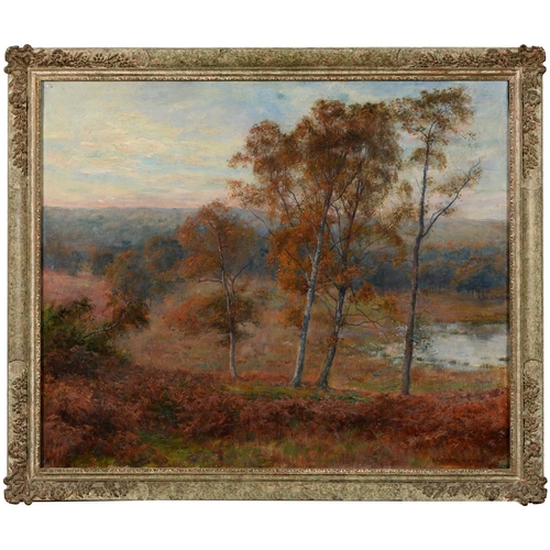 807 - Arthur Trevor Haddon (1864-1941) - Trees in Autumn,  signed, oil on canvas, 62.5 x 76cm... 