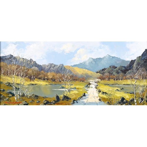 832 - Charles Wyatt Waren (1908-1993) - Snowdonia Landscape with Silver Birches, signed, oil on board, 23 ... 