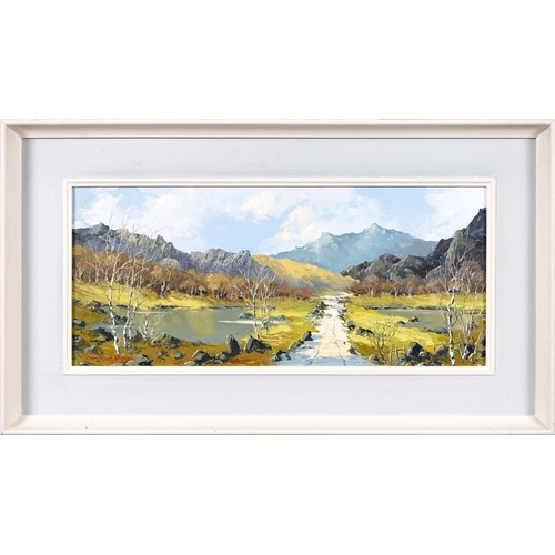 832 - Charles Wyatt Waren (1908-1993) - Snowdonia Landscape with Silver Birches, signed, oil on board, 23 ... 