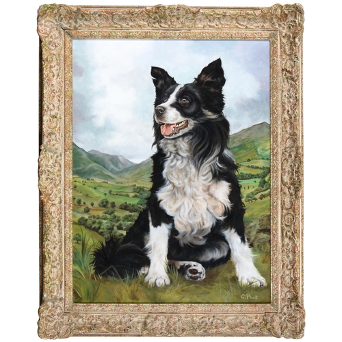 859 - G. Plant, 20th c - Portrait of a Border Collie, signed, oil on canvas, 60 x 44cm