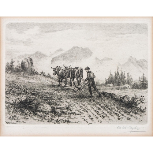 894 - William Douglas Macleod (1892-1963) - Working Oxen, the margin signed in pencil, n.d., etching, 17 x... 