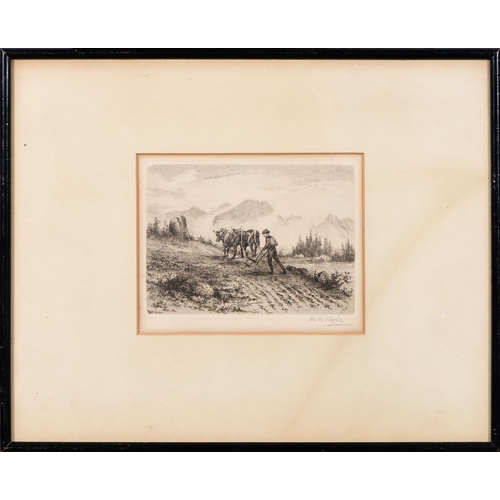 894 - William Douglas Macleod (1892-1963) - Working Oxen, the margin signed in pencil, n.d., etching, 17 x... 