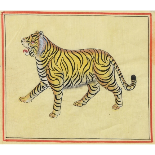 917 - Indian School - Tiger; Tiger, a pair, ink and gouache on cloth in red line border, 19.5 x 22.5cm (2)... 