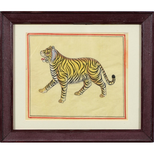 917 - Indian School - Tiger; Tiger, a pair, ink and gouache on cloth in red line border, 19.5 x 22.5cm (2)... 