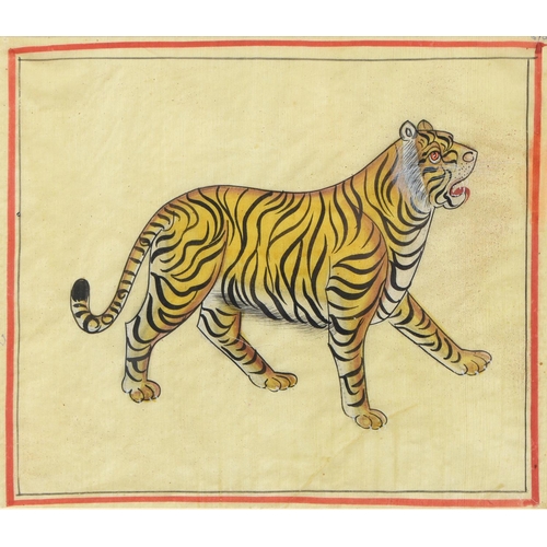 917 - Indian School - Tiger; Tiger, a pair, ink and gouache on cloth in red line border, 19.5 x 22.5cm (2)... 