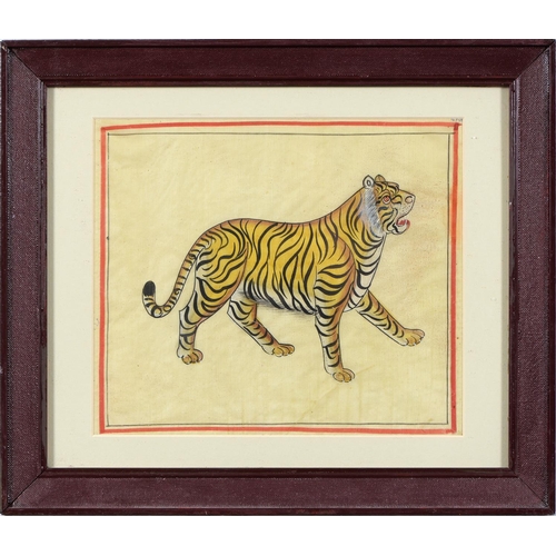 917 - Indian School - Tiger; Tiger, a pair, ink and gouache on cloth in red line border, 19.5 x 22.5cm (2)... 