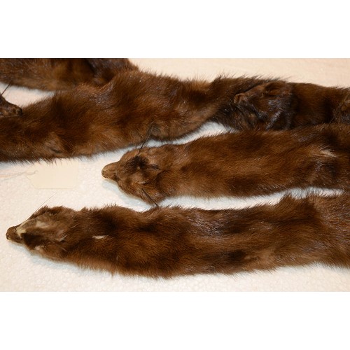 1176 - Vintage clothing. A quantity of fur  stoles, etc