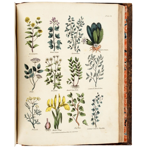 210 - Medical and Botany. Culpeper's Complete Herbal, to which is now added, upwards of one hundred additi... 