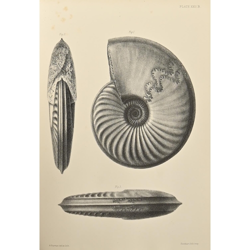 237 - Natural History, Paleontology & Evolution. Palæontographical Society, six volumes of their annua... 