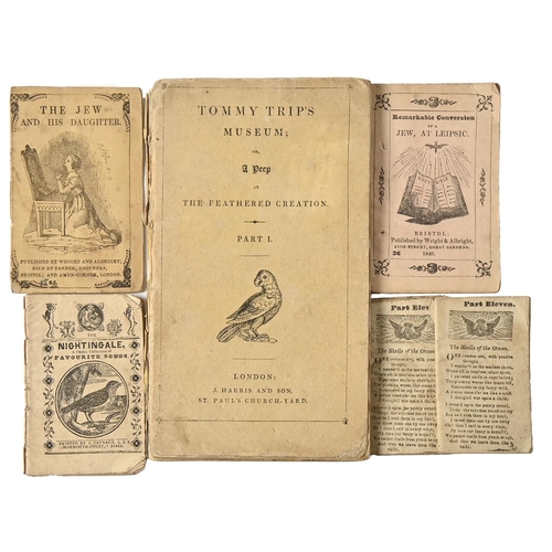 61 - Children's and Juvenile Books. [Natural history, ornithology] Tommy Trip's Museum; or, A Peep at the... 