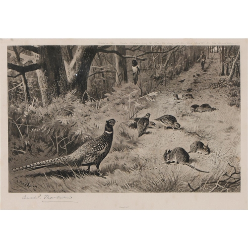 885 - Archibald Thorburn (1860-1935) - Pheasants; Partridge, a set of three, Goupiltints, published by The... 