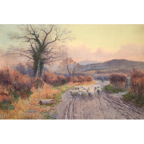 857 - Willie Stephenson (1857-1938) - Sheep on a Country Lane, signed, watercolour, 49 x 74cm... 