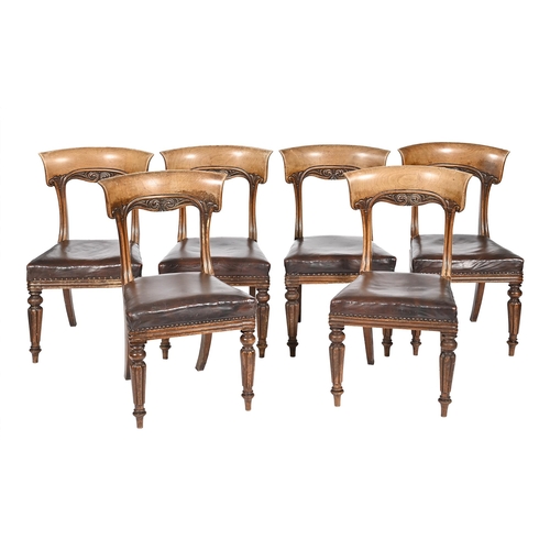 1114 - Six Victorian carved walnut dining chairs,  on reeded front legs, the seats with brown nailed leathe... 