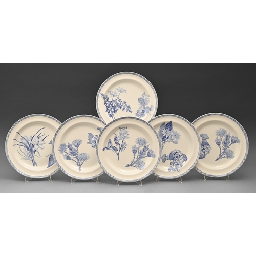 489 - A set of six Wedgwood blue printed Pearl Body Botanical Flowers pattern plates, early 19th c, 25cm d... 