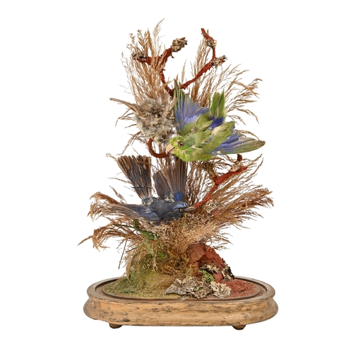 737 - Victorian taxidermy. Three birds amidst grasses, on giltwood stand beneath glass dome, 35cm h... 