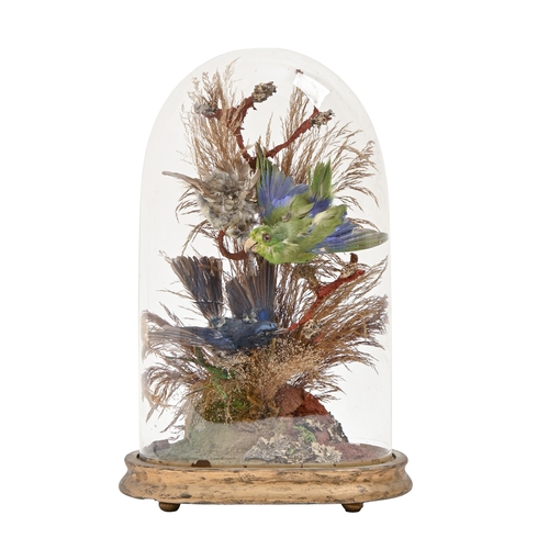 737 - Victorian taxidermy. Three birds amidst grasses, on giltwood stand beneath glass dome, 35cm h... 