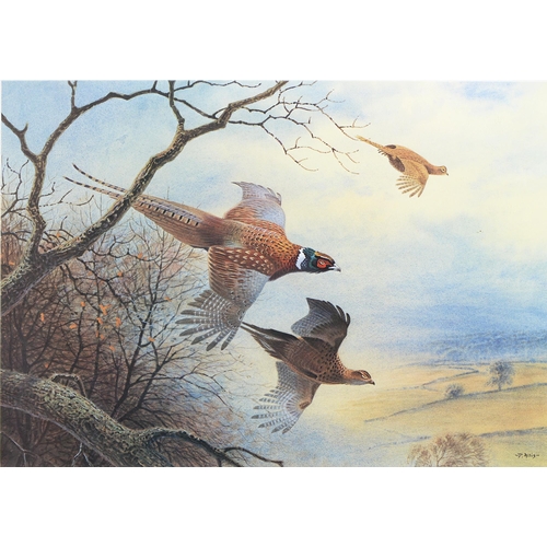 915 - Peter Allis (b. 1944) - Pheasants; Grouse, a pair, signed and with numbered limitation by the artist... 