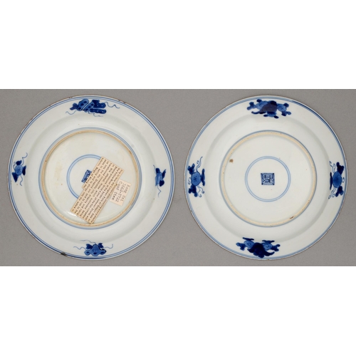 121 - A pair of Chinese blue and white plates, Kangxi period, painted with dragon and carp in wave border,... 