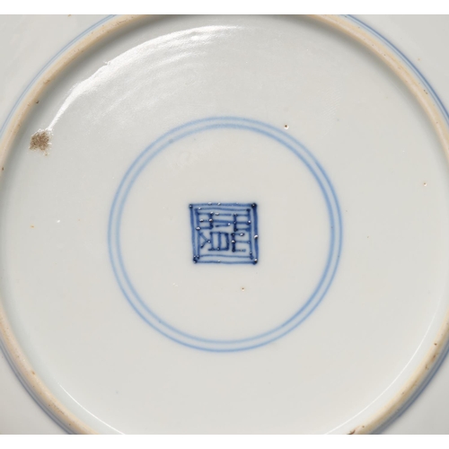 121 - A pair of Chinese blue and white plates, Kangxi period, painted with dragon and carp in wave border,... 