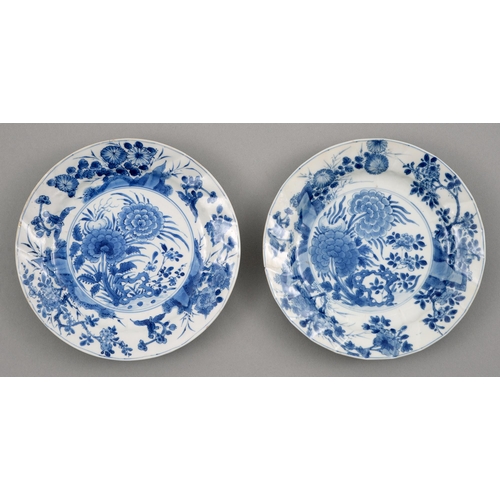 126 - A pair of Chinese blue and white plates, Kangxi period, painted with peonies and other plants, the b... 