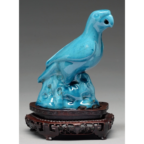 268 - A Chinese turquoise glazed biscuit model of a parrot, 19th c or later, 14cm h