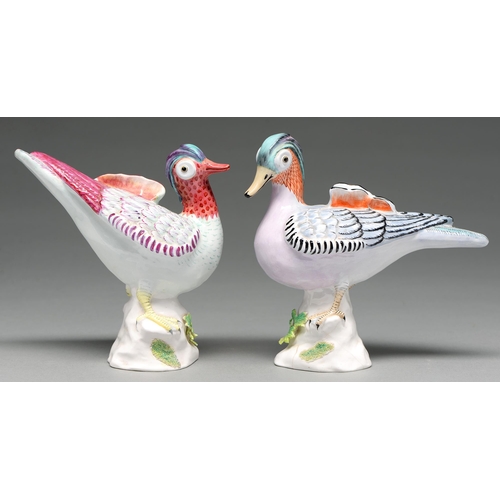 552 - A pair of Crown Staffordshire bone china models of Chinese teal after the Chelsea originals, 20th c,... 