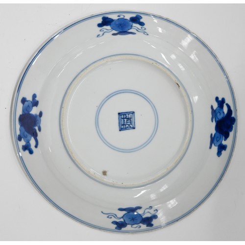 121 - A pair of Chinese blue and white plates, Kangxi period, painted with dragon and carp in wave border,... 