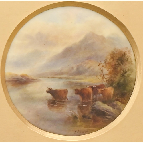 461 - A Royal Worcester plaque, 1917, painted by J Stinton, signed, with highland cattle in a misty landsc... 