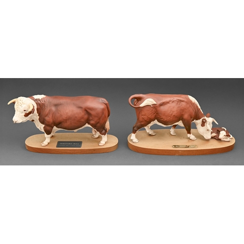 498 - A Beswick Connoisseur model of a Hereford bull and another of a Hereford cow and calf, bull 18cm h... 