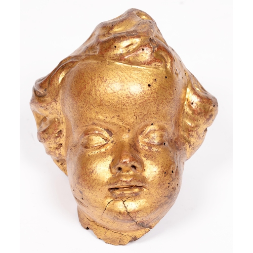 756 - A giltwood carved head of a cherub, 19th c, 14cm w