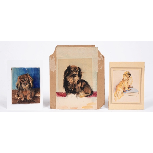 805 - English School. Studies of Pekingese dogs, watercolour, 18cm x 15cm and smaller, unframed (3)... 