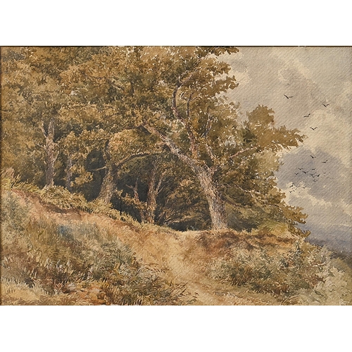 996 - Attributed to John Mogford (1821-1885) - A Woodland Edge, monogrammed, 19th c manuscript attribution... 