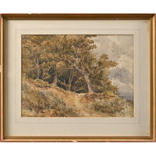 996 - Attributed to John Mogford (1821-1885) - A Woodland Edge, monogrammed, 19th c manuscript attribution... 