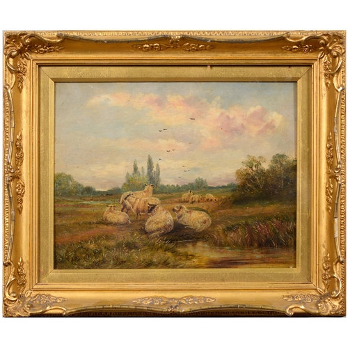 1007 - English School, 19th century - Sheep in a Meadow, signed W Collinson and signed again by another, oi... 