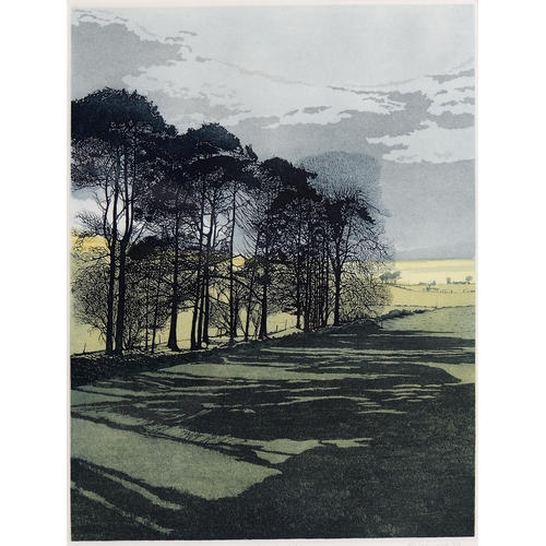 1058 - Phil Greenwood RE (1943-) - Shadowfield, signed by the artist in pencil, inscribed and numbered 52/2... 