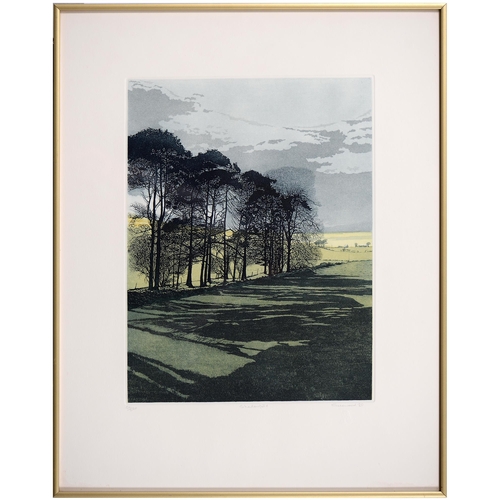 1058 - Phil Greenwood RE (1943-) - Shadowfield, signed by the artist in pencil, inscribed and numbered 52/2... 