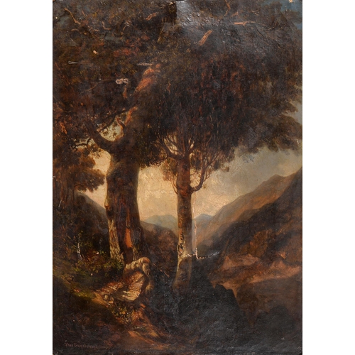 1076 - English School, 19th century - Landscape with Figure and Silver Birches, bears signature, oil on pan... 